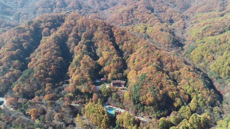 메인사진
