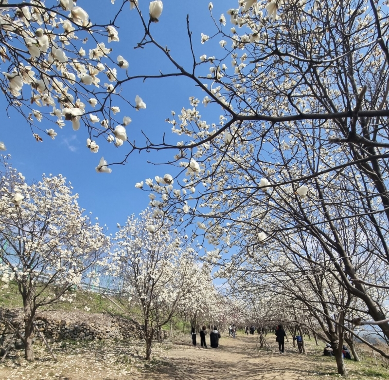 메인사진