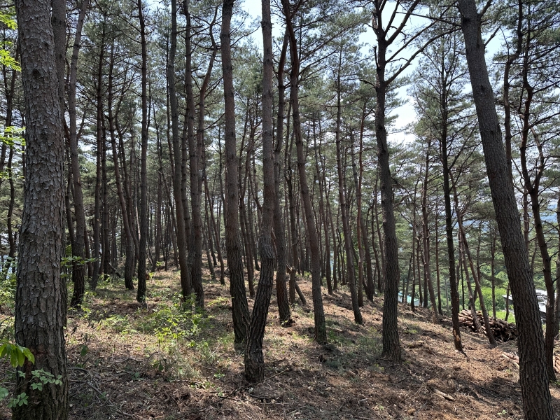 메인사진