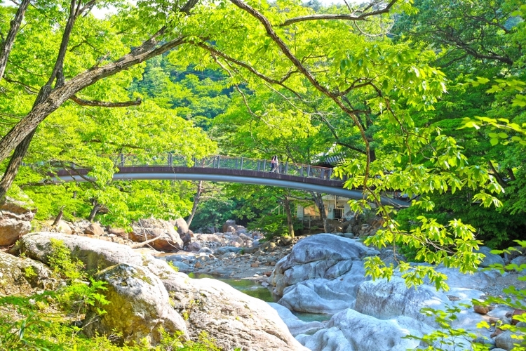 메인사진