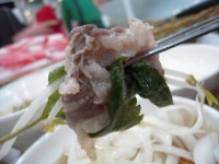 Կ ڸ  ѿ