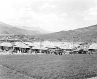 `߾   `<BR>泲 Ļ 1958,  