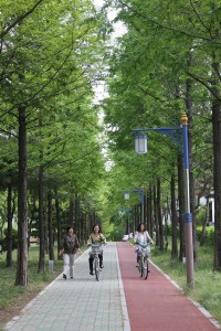 â 2050 `Ưȭ 3 ` ٽ ¾