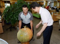 â籺û ο, 70kg  ȣ 