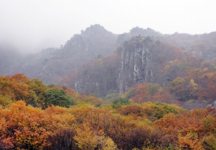 밭 이미지