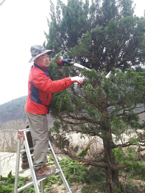 면대장 이미지