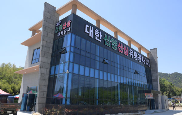 대한유통 이미지