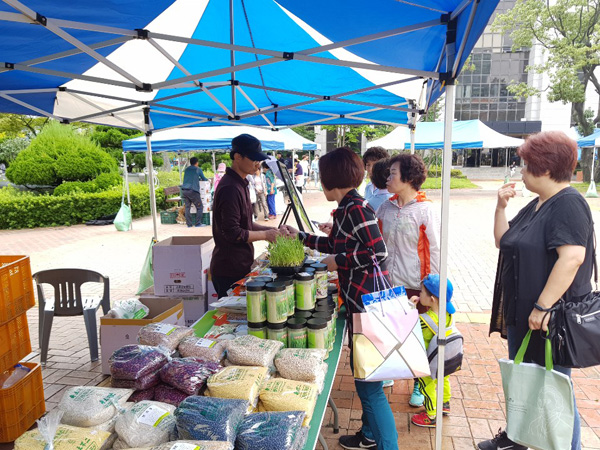 동아대학교 이미지