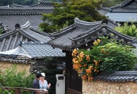 한국에서 가장 아름다운 마을에 핀 능소화