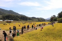 산청농협, 산청메뚜기쌀 축제 열어 