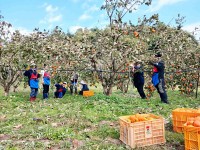 Ծ籺 ,  Ȯö ¾  ϼյ