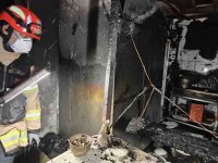 صμҹ漭, 泲 ȭ纸 ǰ  1