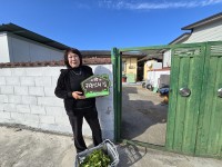 �Ƿɱ� 50��60 �ͳ� ������ `�ѷ�`