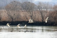 â�� �ֳ������� AI �������� ����