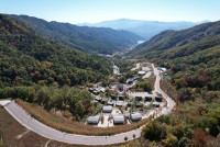 �Ծ籺 ���ķ�η��� �ڿ��޾縲 �ΰ� ��Ź ��� ���� ����