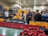 â�� ������ī ����ȸ, �� ������ ���� `�۾�ȿ�� UP`