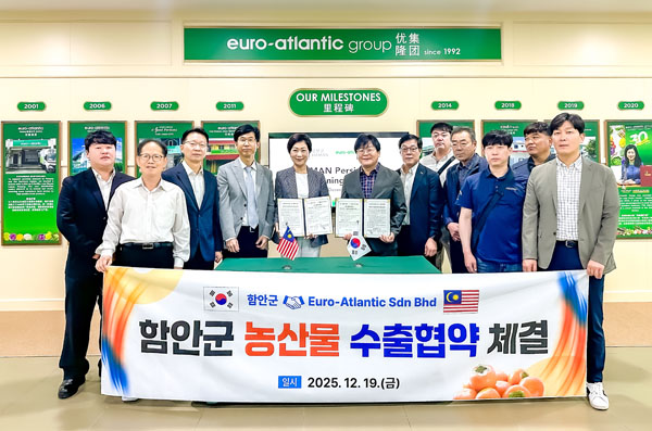 �Ծȴܰ�, �����̽þ� ���� ����� ��ȭ