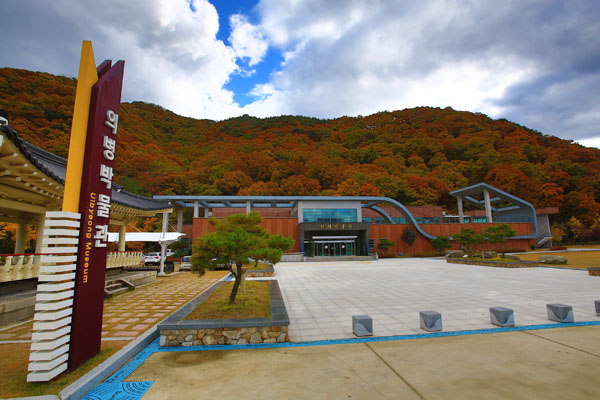 �Ｚ â���� ���� �Ƿɼ� �̰��� �÷��� ������ ���� ����