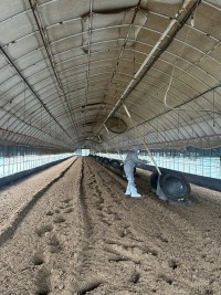 "�������÷翣�� ������ ���ƶ�" Գ �˻�ü�� ��ȭ