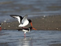 ���ر���������ȸ,���̴��� ���ء�ȫ�� ���� ����