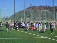 ��â�Ѱ�â �ʵ�� �౸ ���� ����긮�� ��Ȳ�� ������