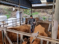 �Ծȱ� 1�� �۾��� ������ ������� ����