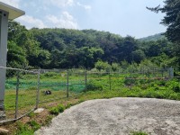 ���ؽ� �߻����� ���ؿ���ü� ��ġ��� ����