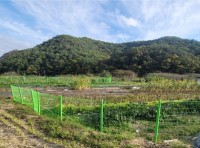 â��Ư�ʽ� `�߻����� ���ؿ���ü� ��ġ �������` ����