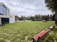 ������ �ű� ������ȣ���� ���� `����`