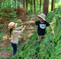 ��õ���鸲 6�� ���� ����, ������ȸ�� ������