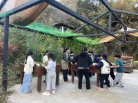 â�籺, ��� ġ������ü� ���� 2�� ����