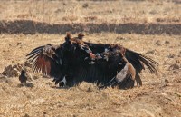 ���ؽ� `ȭ��õ���� ����������` ����