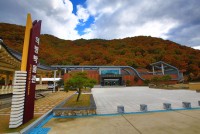 �Ǻ��ڹ��� ������ ������ 27������ ���� ���� �ִ�