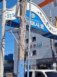 â��Ư�ʽ� ����������, �� ���� ��� �ҹ� ������ �ܿ��� ���� ����