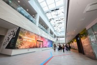 �� ���� ���� ���� ���� �� ���?