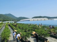 �泲 ��������� �ǰ�����ȭ�������� ����� ����