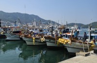 �뿵�� ���Ⱦ ��ô��� ���� 87�� Ȯ�� 