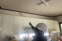 �о��, �������� ����ü� ���� ������� ����