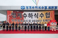 �뿵�� �۰Լ��Ͻļ���, ���� ���� �۰������� �ذ���