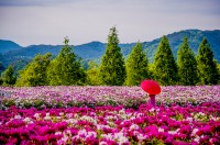 ��õ�� `������� �ް����� �ù����` ���� ����