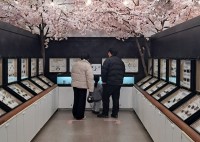 â��������泪��, ���� Ư����ȹ��