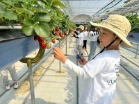 ���ֽ�, ���� ��� �б� `�����޽� �����` ���� ����