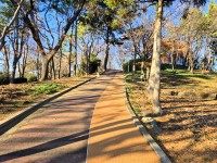 ������ ������� ������ �����ü� ������ ����