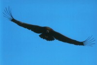 ������ `������ ����ü��` ��Ȳ�� ����