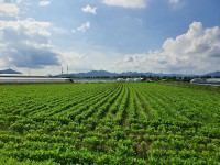 â��Ư�ʽ� ����������, �� Ÿ�۹� �������