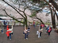 â��Ư�ʽ� ���ر����� Ư�����α׷� `��, ���� �ϲ�����` �