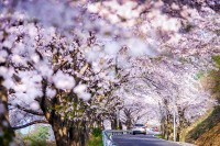 "�� ��, ���� �� ��?" ȲȦ�� �ɴ�� ������ ���ν��� ����