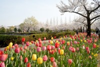 ����, ���� ���� �� �̷��� ����