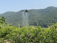 â��Ư�ʽ�, �ܰ� �̱�������� ������� �Ϻ�����