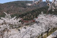 �ӹ��� ������ ��ġ ���� ��û<BR>2026�� ���Ͻ� �������� ���� ����ȭ